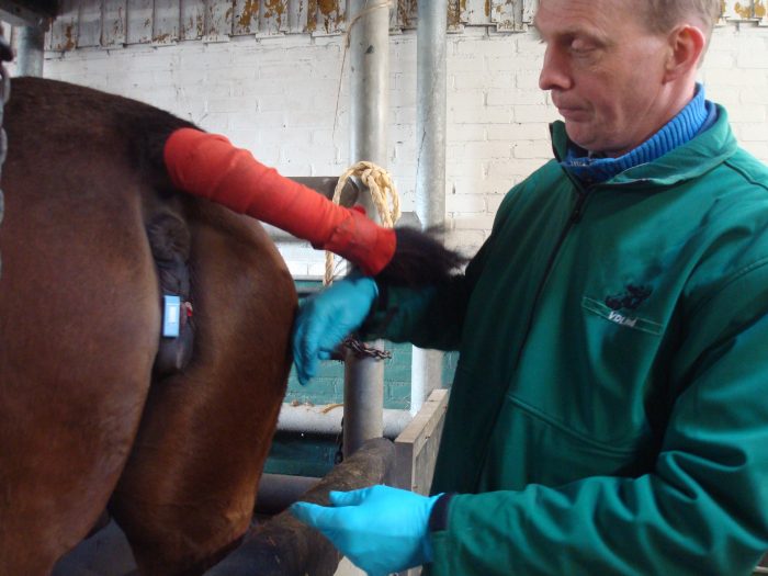 <a hreft="http://www.vdlstud.com/" target="_blank">VDL Stud</a>, Nederland Opinie Abfohlsystem VDL